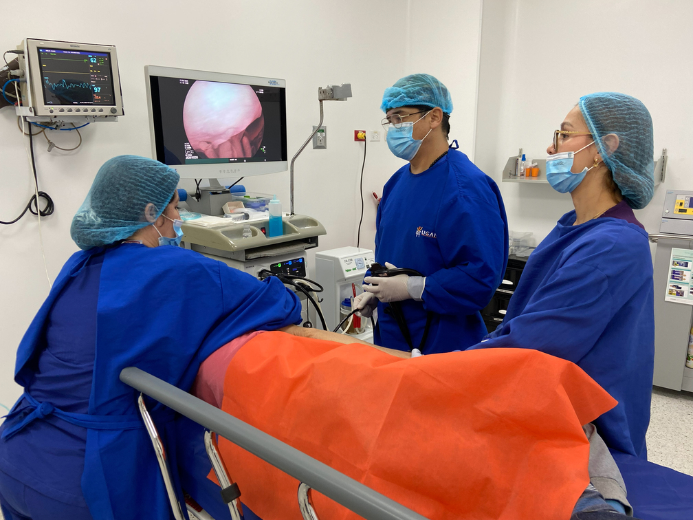 Procedimientos Endoscópicos Vías Digestivas Bajas